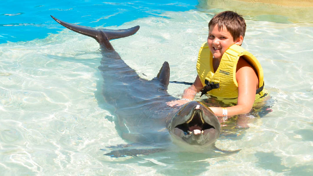 nadar-con-delfines-23